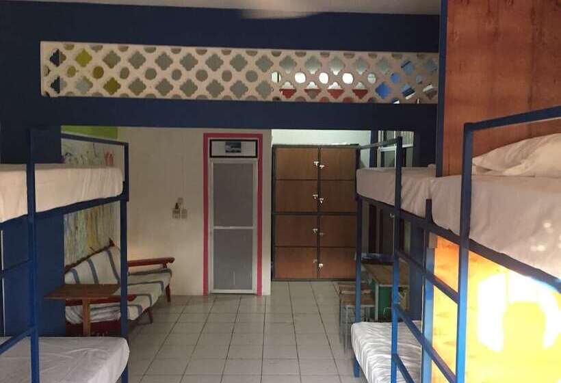 פנסיון El Coyote