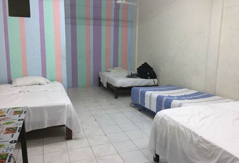 פנסיון El Coyote