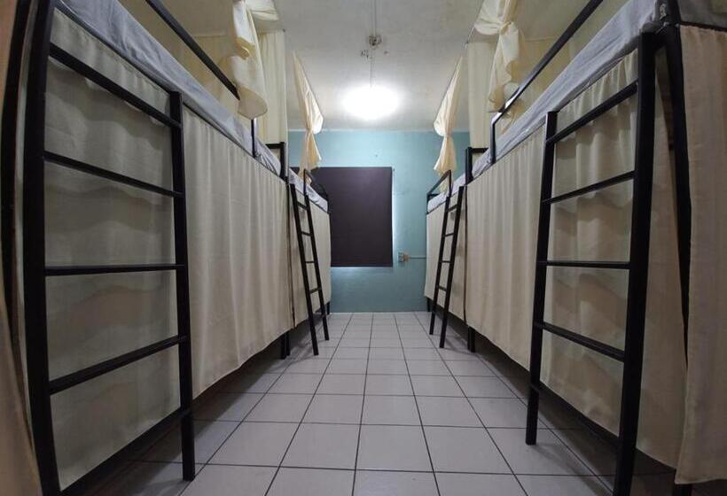 פנסיון El Coyote