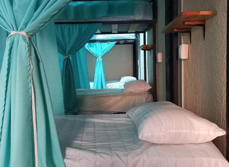 פנסיון El Coyote