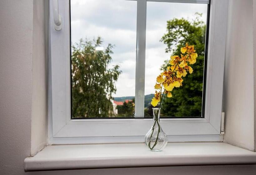 بنسيون Penzion Avionika