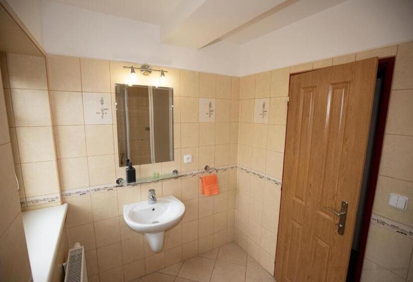 بنسيون Penzion Avionika