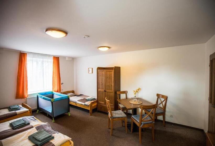 بنسيون Penzion Avionika