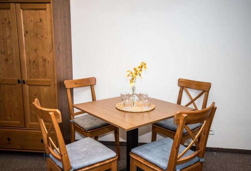 بنسيون Penzion Avionika