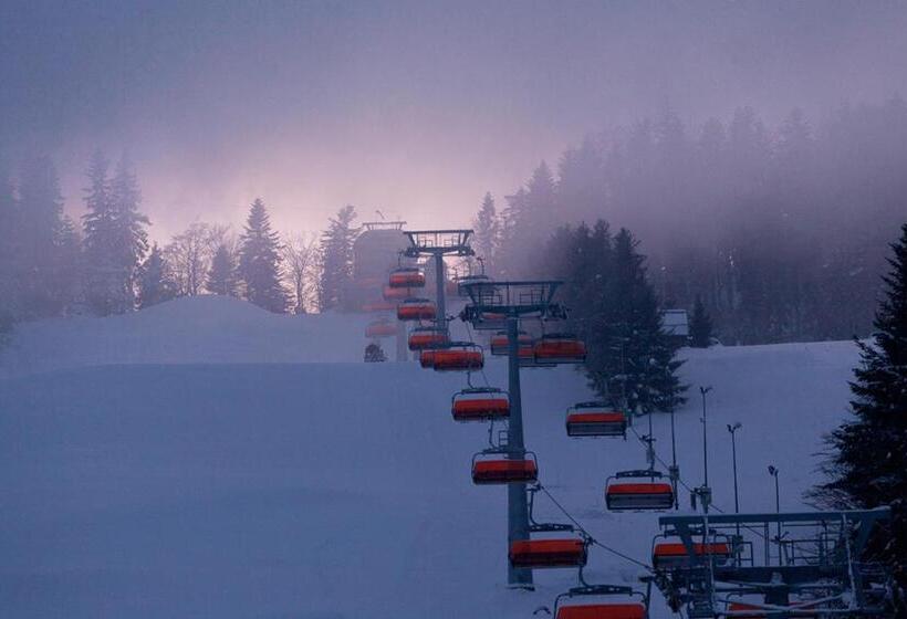 پانسیون Słotwiny Arena