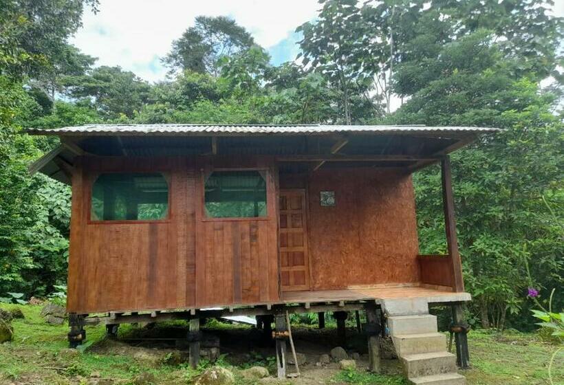 הוסטל Manu Amazon Lodge