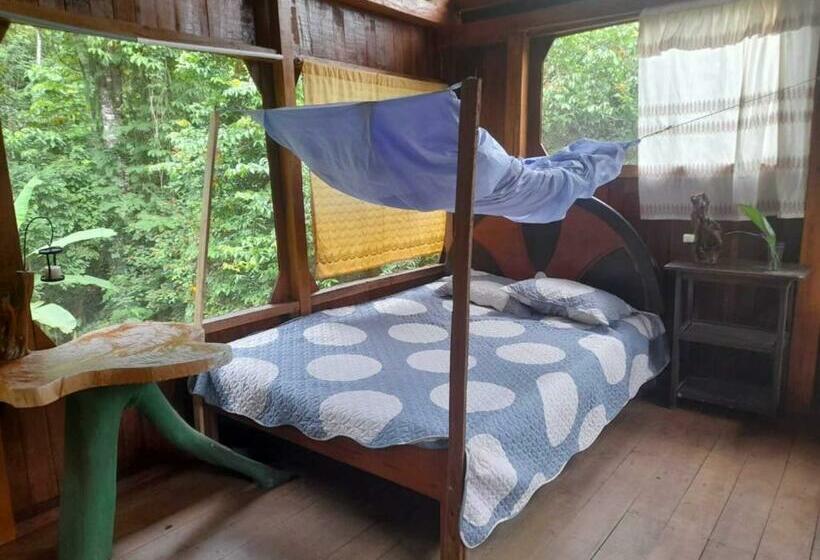 הוסטל Manu Amazon Lodge