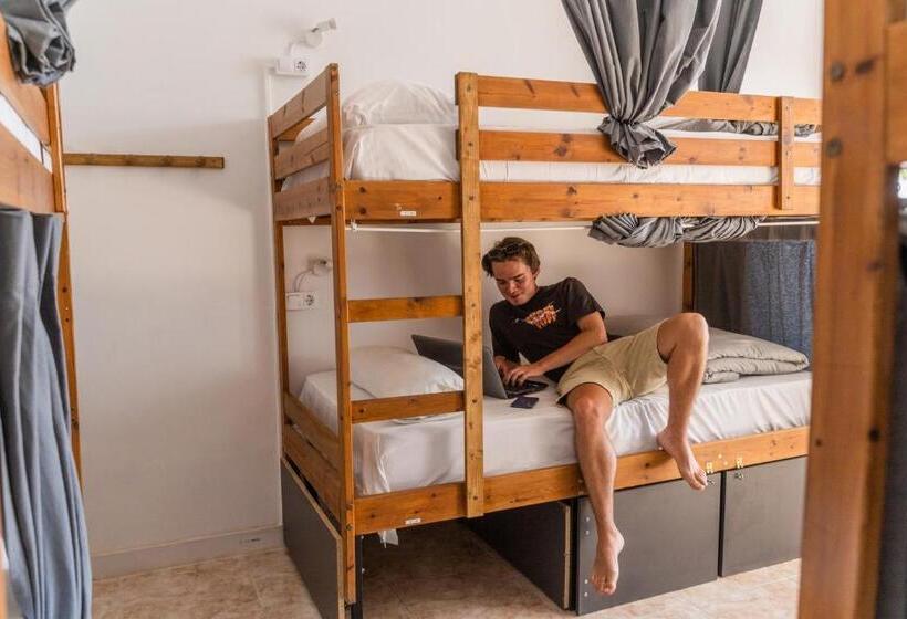 ユースホステル Ocean Nomads Coworking