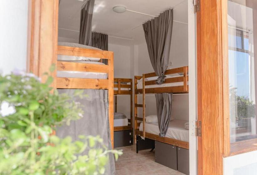 ユースホステル Ocean Nomads Coworking