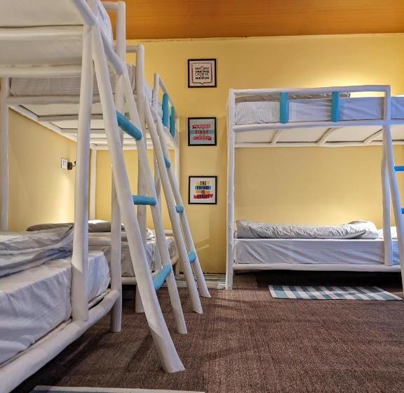 Общежитие Social Courtyard Spiti