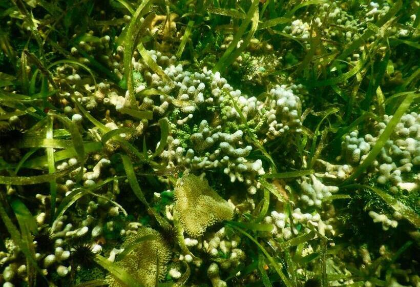 住宿加早餐  Eden Jungle Lodge