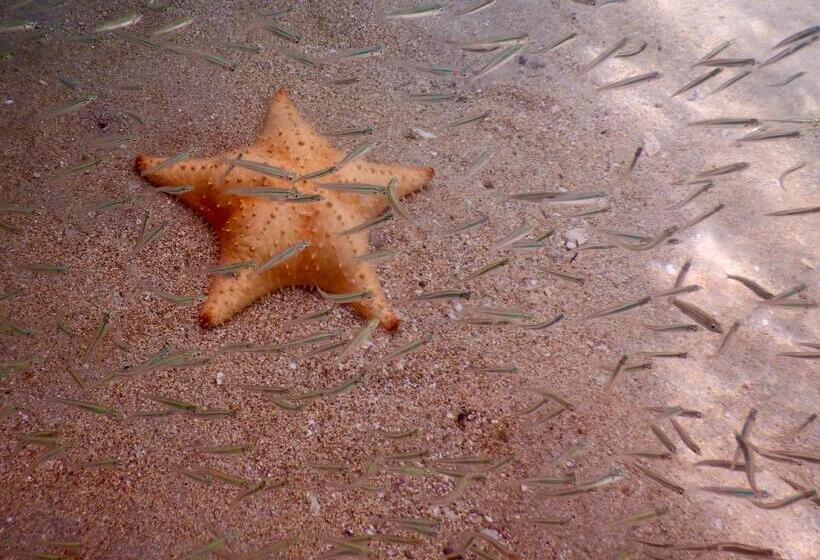 住宿加早餐  Eden Jungle Lodge