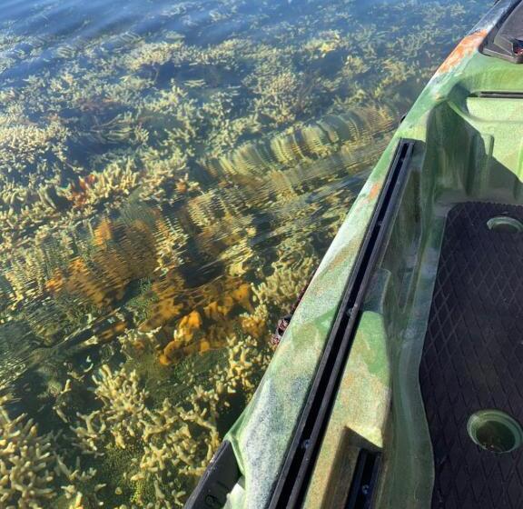 住宿加早餐  Eden Jungle Lodge