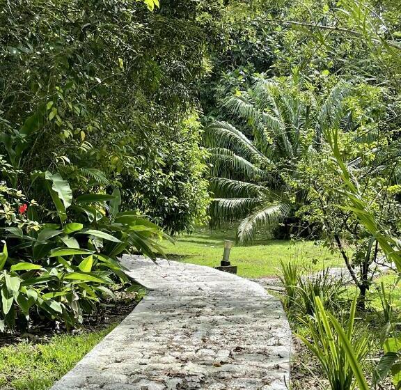 住宿加早餐  Eden Jungle Lodge