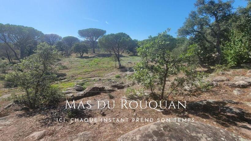 Bed and Breakfast Le Mas Du Rouquan