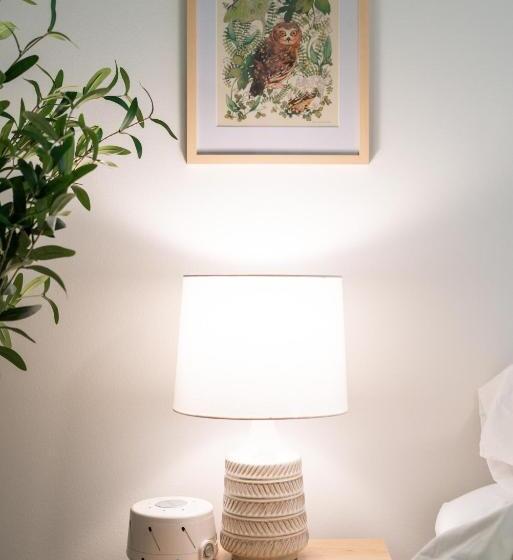 مبيت وإفطار The Wanderer Guesthouse