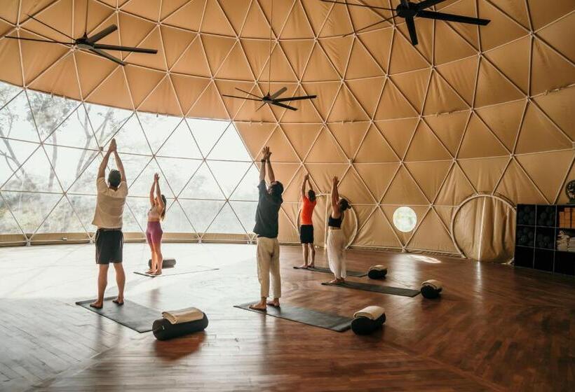 فندق Alaya Panama