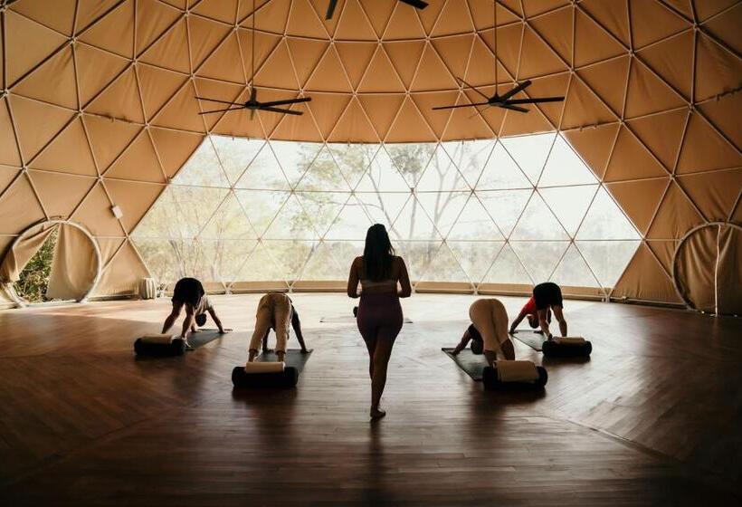 فندق Alaya Panama