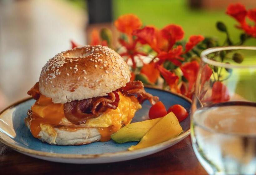 فندق Alaya Panama