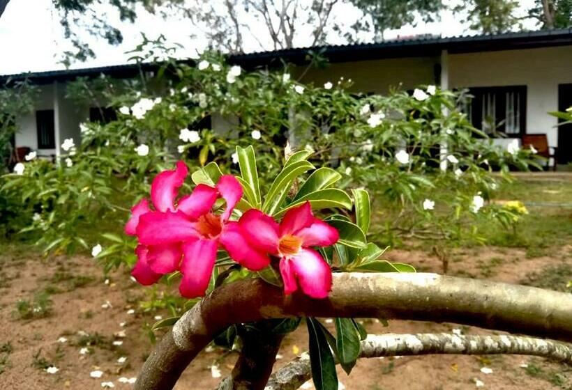 호텔 Coconut Beach