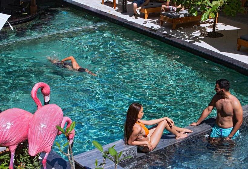 胶囊酒店 Saranda Boutique