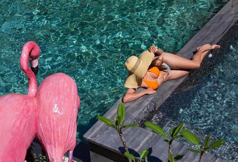 胶囊酒店 Saranda Boutique