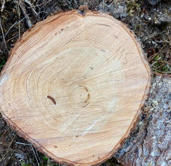 فندق Fjellstad Gård   2 Minutes From E6 And 5 Minutes Drive From Steinkjer City