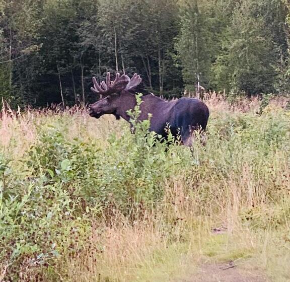 فندق Fjellstad Gård   2 Minutes From E6 And 5 Minutes Drive From Steinkjer City