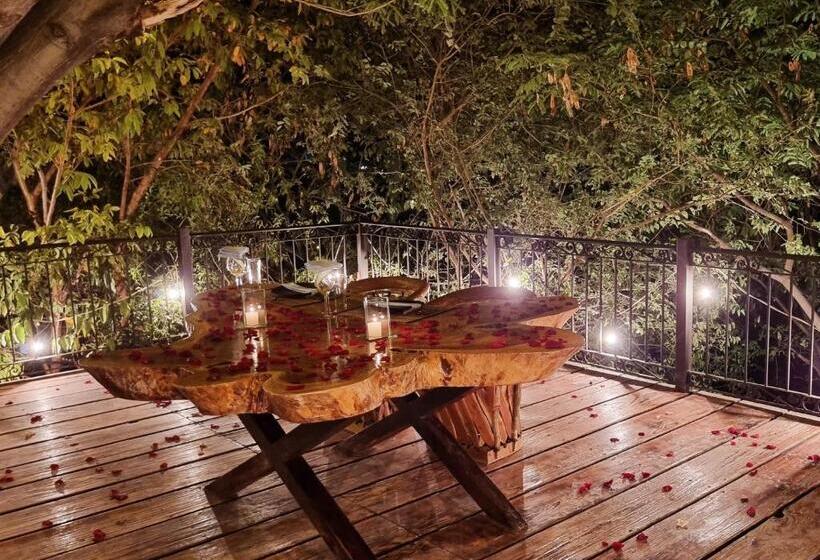 Отель Hacienda Maria Eugenio