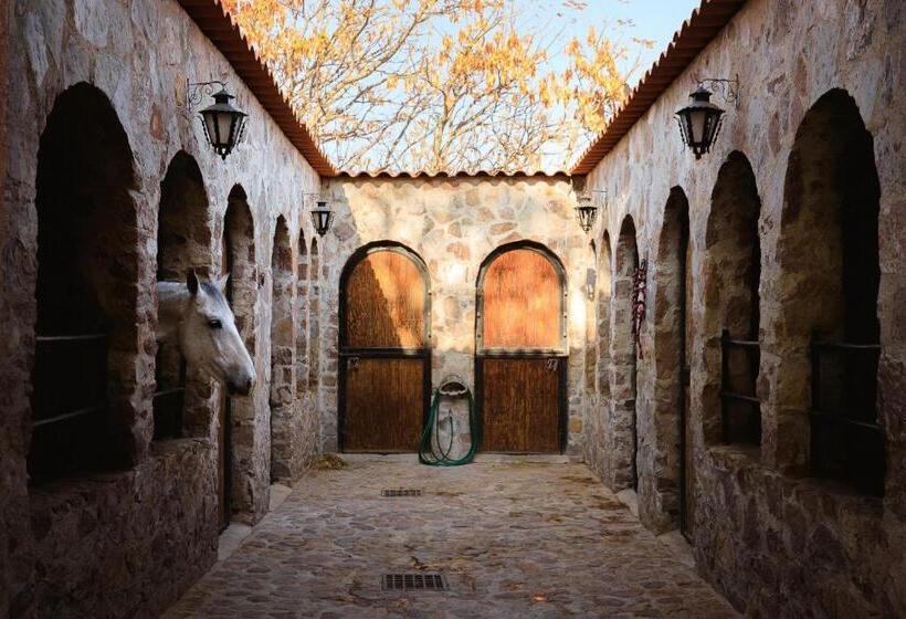 Отель Hacienda Maria Eugenio