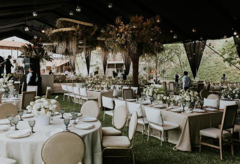 Отель Hacienda Maria Eugenio