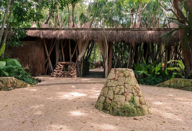 Отель Naya Bacalar Lagoon Front