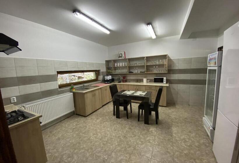 酒店 Pensiunea Cheile șugăului