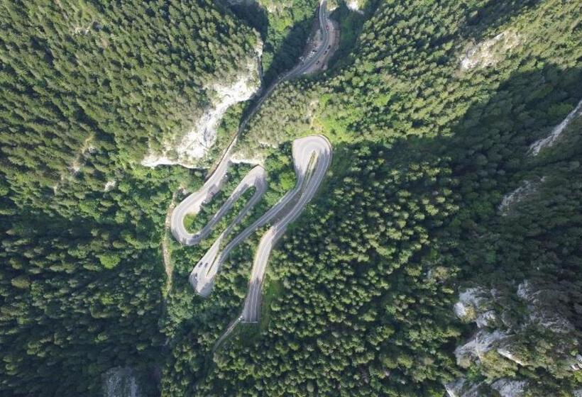 酒店 Pensiunea Cheile șugăului