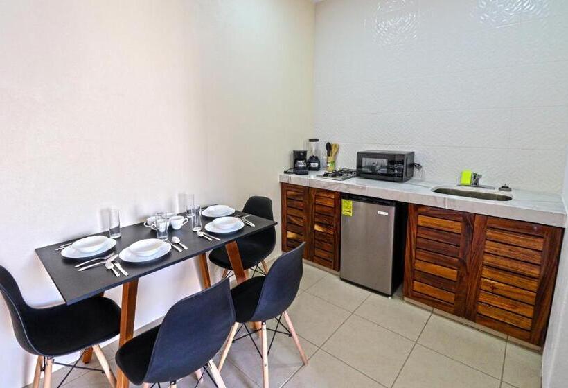 فندق Punta Palmeras