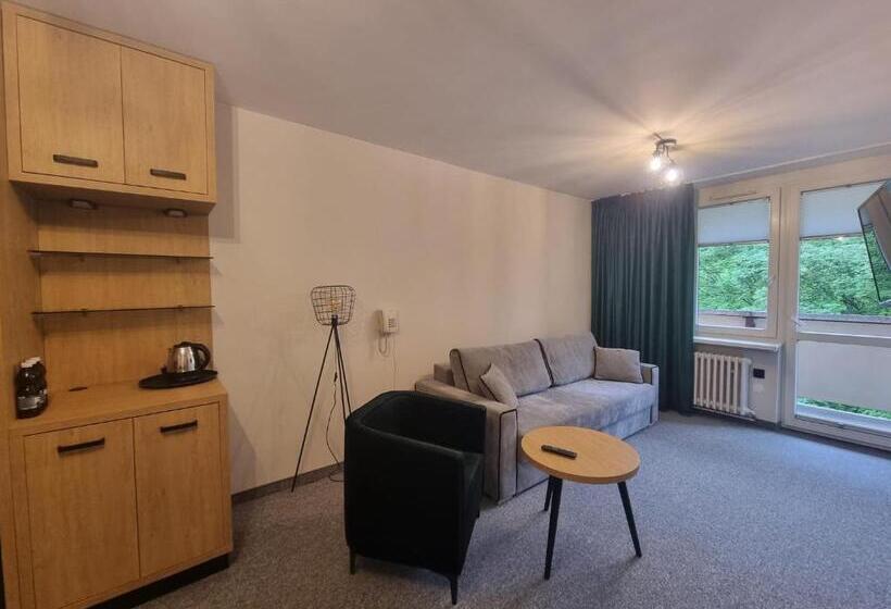 酒店 Sp Zoz Sanatorium Uzdrowiskowe Mswia W Krynicy Zdroju