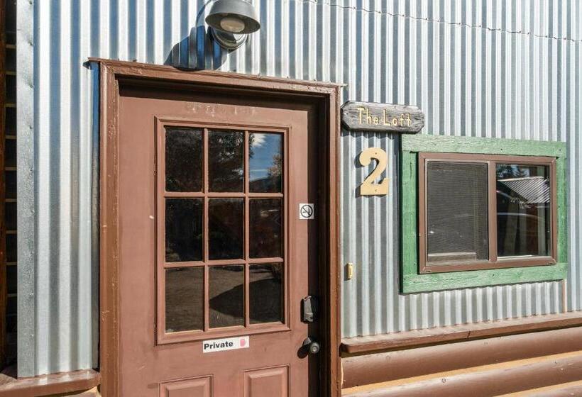 فندق The Bucking Moose