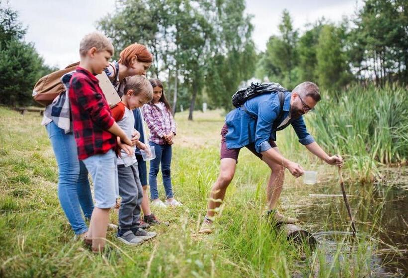 Hotel Tinyparks Cast Away