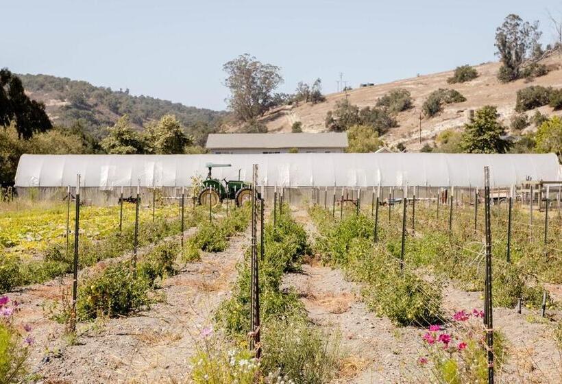 호텔 Wild Hair Studio Stylish Farm Stay W Ev Charger