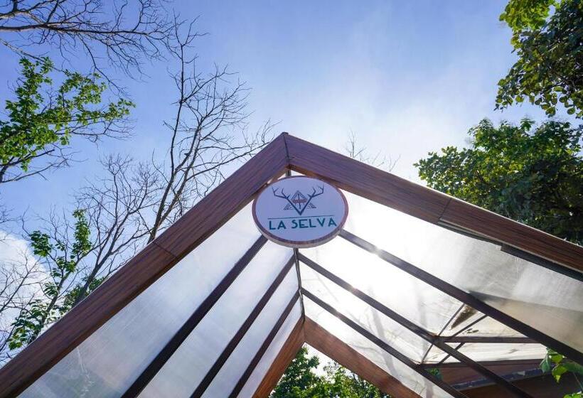 La Selva Resort, Pench National Park