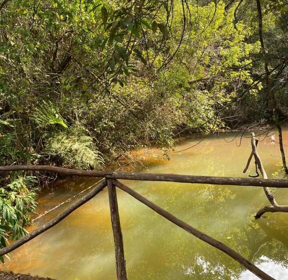 膳宿费 Pousada Flor De íris