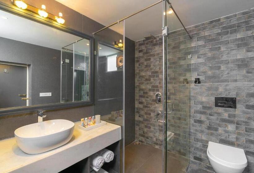 پانسیون 1 Amiras   Entire Villa At Fateh Sagar, Udaipur