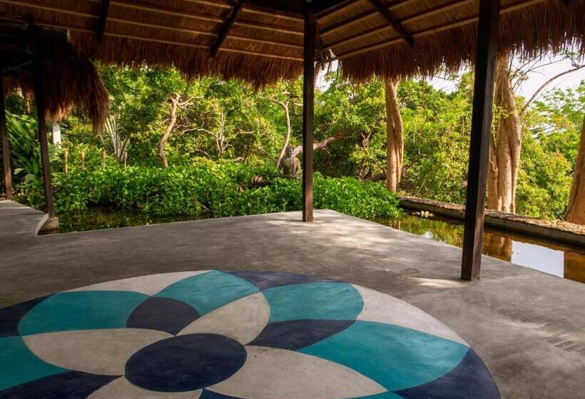 The Dream Beach Resort