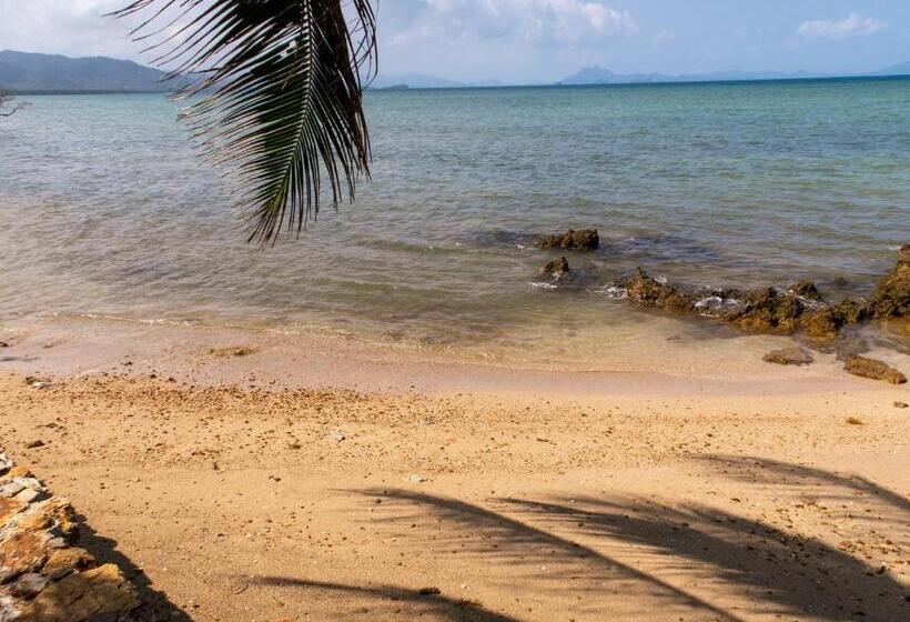 The Dream Beach Resort