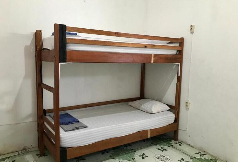 The House Hostel