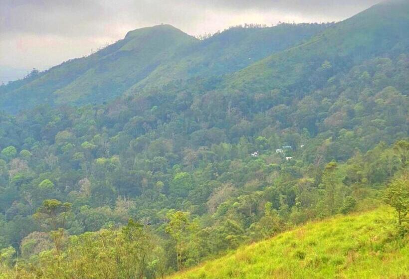 The Windy Mist Resort Munnar