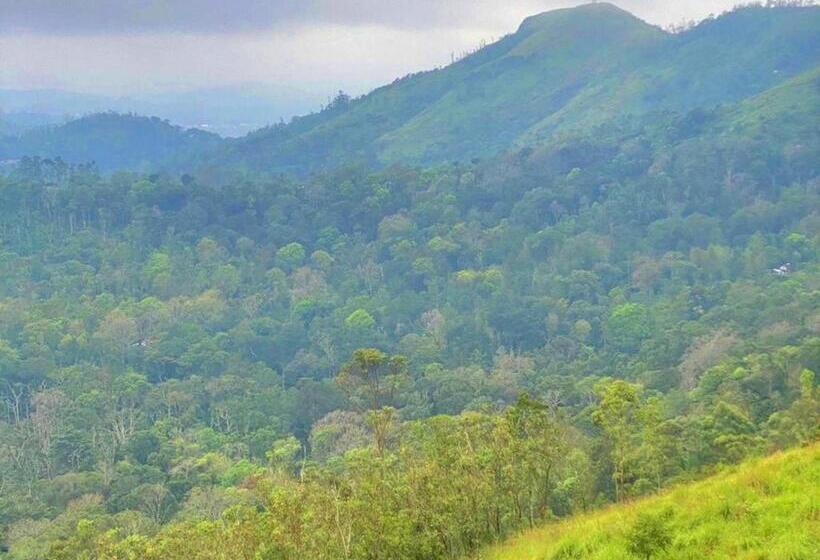 The Windy Mist Resort Munnar