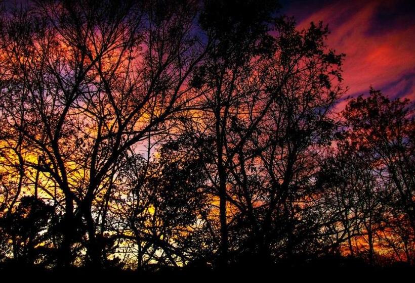 5 Ojo Inn Bed And Breakfast