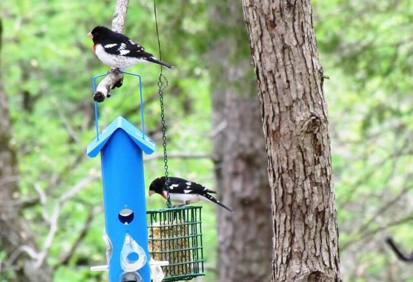 5 Ojo Inn Bed And Breakfast