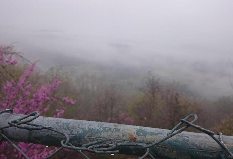 5 Ojo Inn Bed And Breakfast